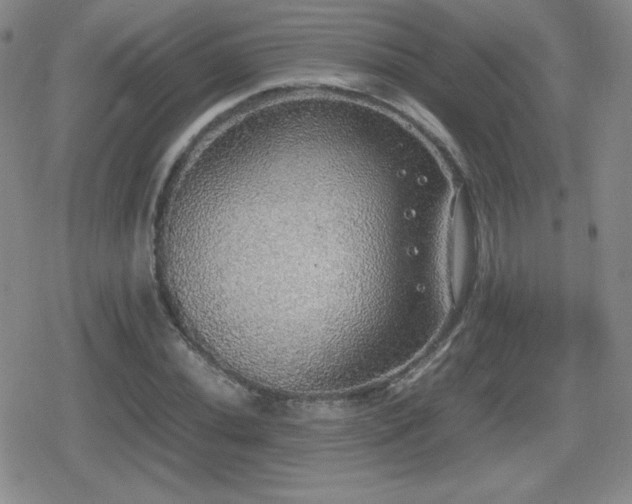 X0000080731020200612151219