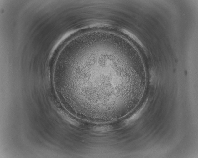 X0000080731021200612151219