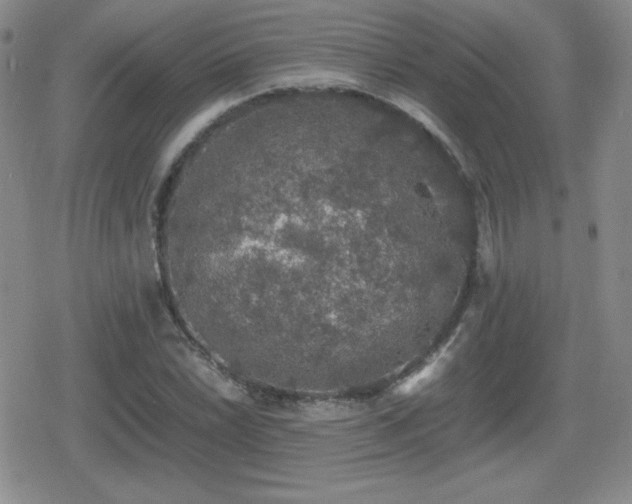 X0000080731022200612151219