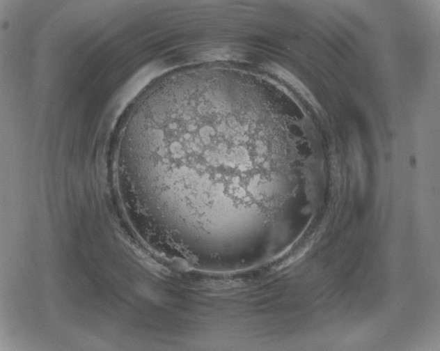 X0000080731023200612151219