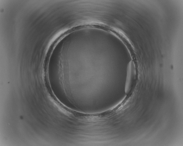 X0000080731024200612151219