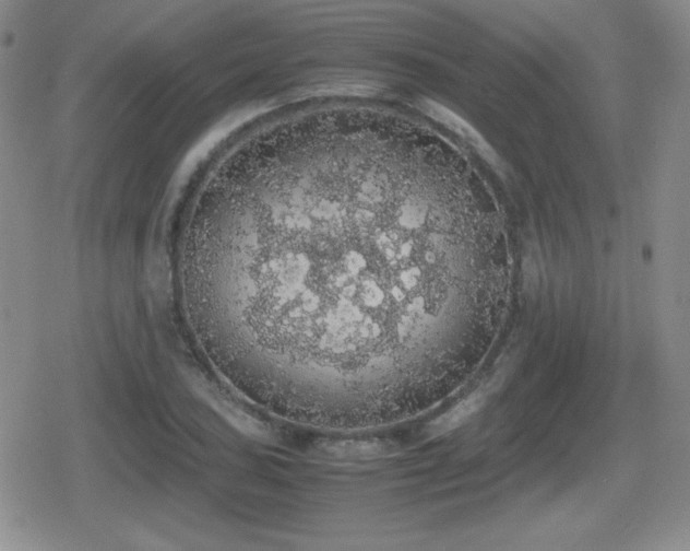 X0000080731027200612151219