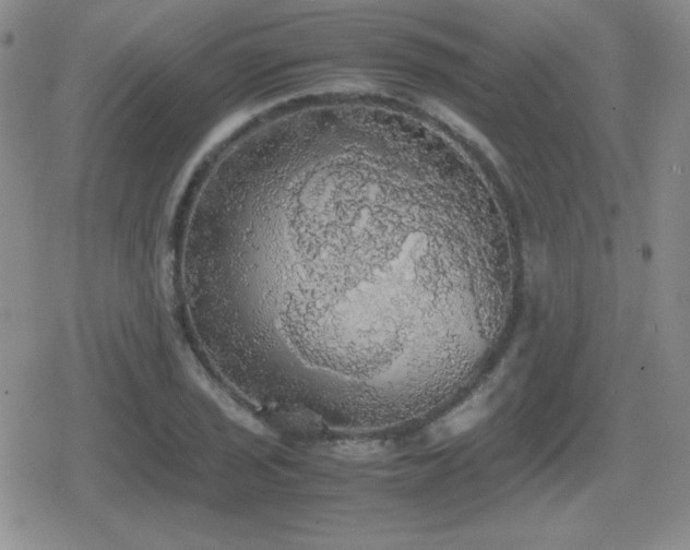 X0000080731029200612151219