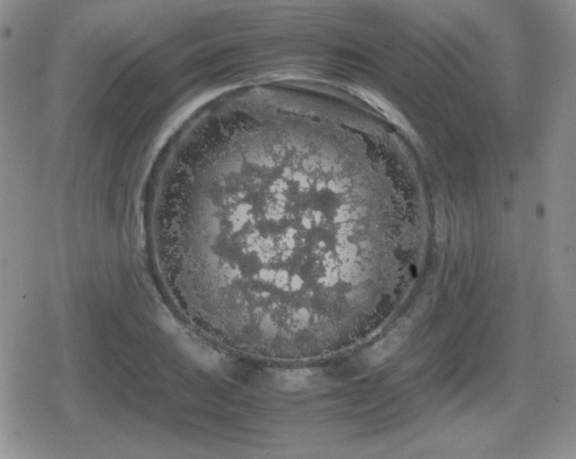 X0000080731031200612151219