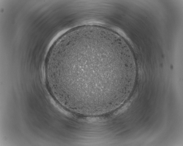 X0000080731032200612151219