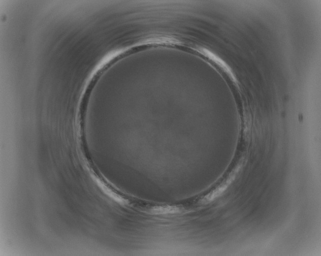 X0000080731037200612151219