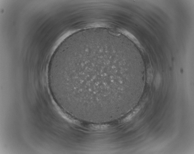 X0000080731039200612151219