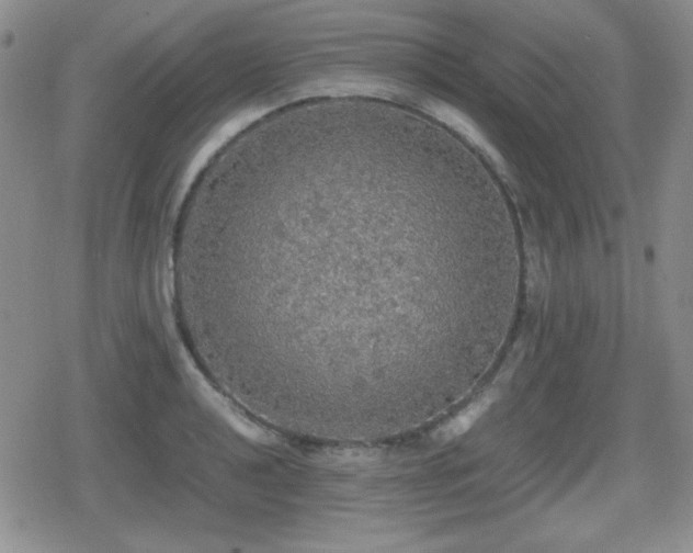 X0000080731040200612151219