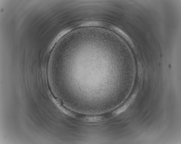 X0000080731041200612151219