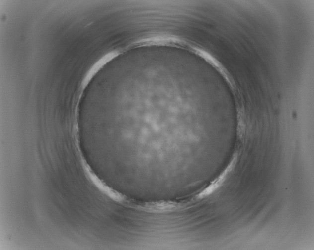 X0000080731042200612151219