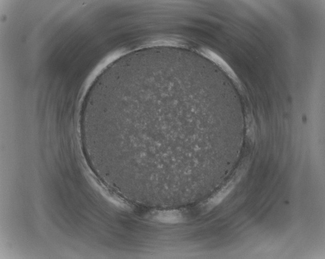 X0000080731043200612151219