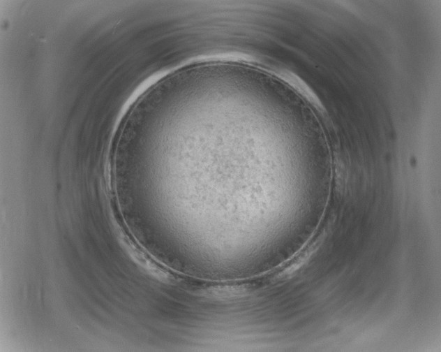 X0000080731044200612151219