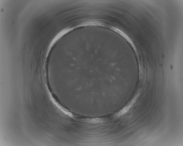 X0000080731045200612151219