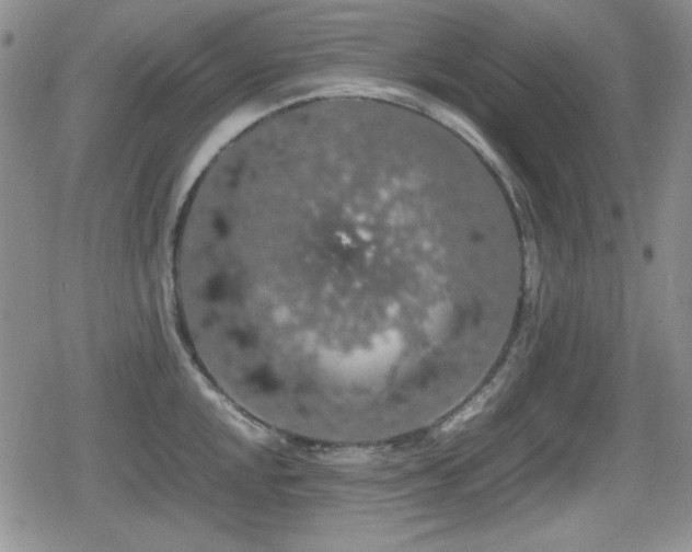 X0000080731048200612151219