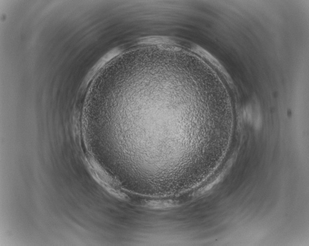 X0000080731049200612151219