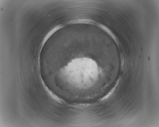 X0000080731050200612151219