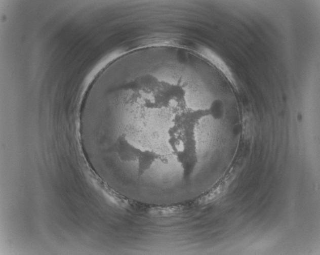 X0000080731051200612151219