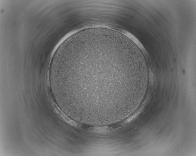 X0000080731052200612151219