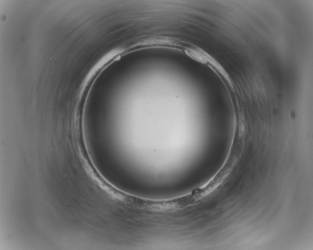 X0000080731053200612151219