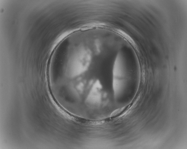 X0000080731055200612151219