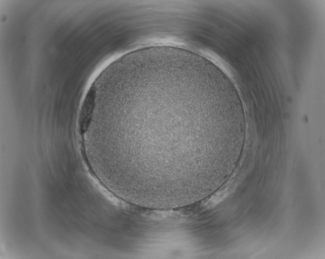 X0000080731056200612151219