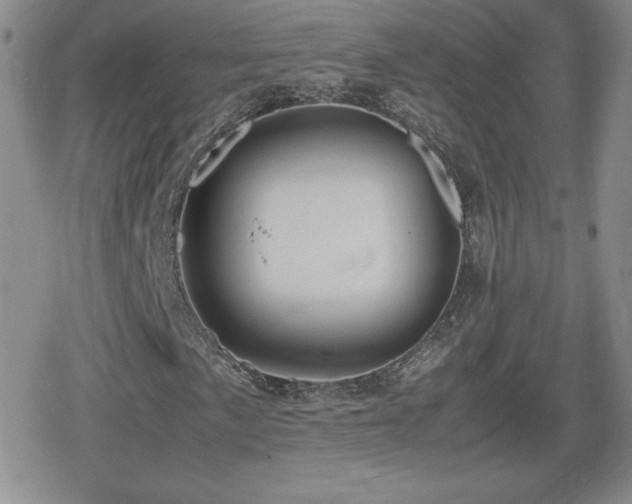 X0000080731057200612151218