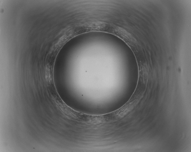 X0000080731058200612151218