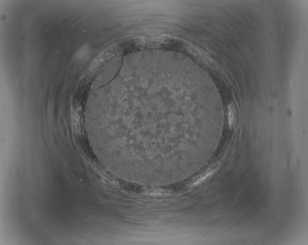 X0000080731059200612151218