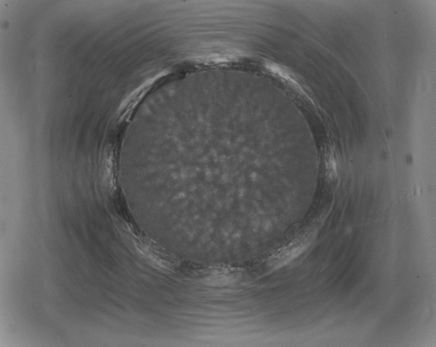 X0000080731060200612151218