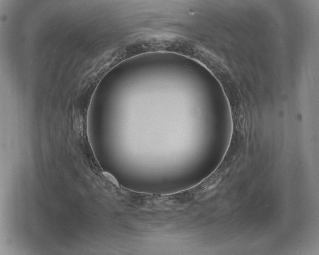 X0000080731061200612151218