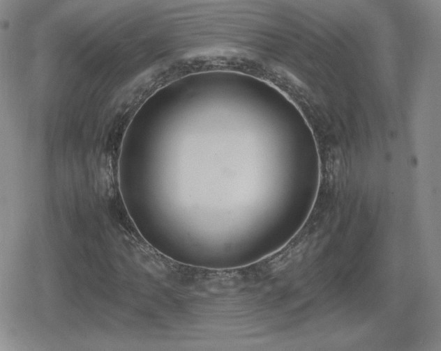 X0000080731062200612151218