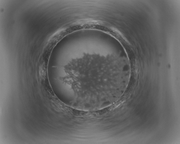 X0000080731063200612151218