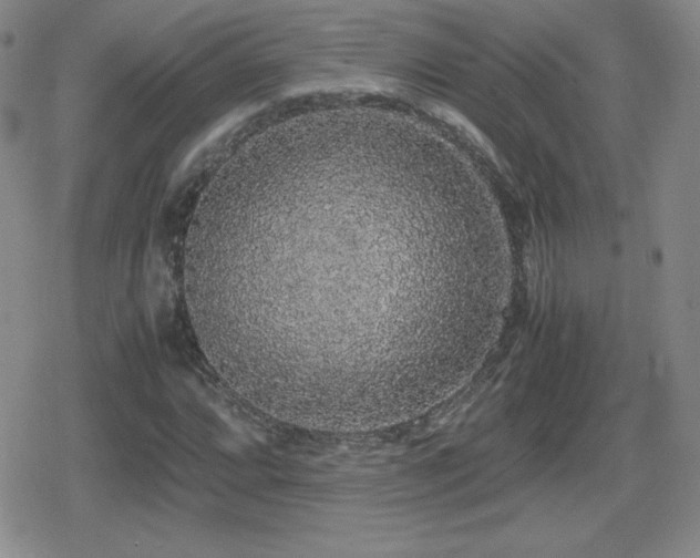 X0000080731064200612151218