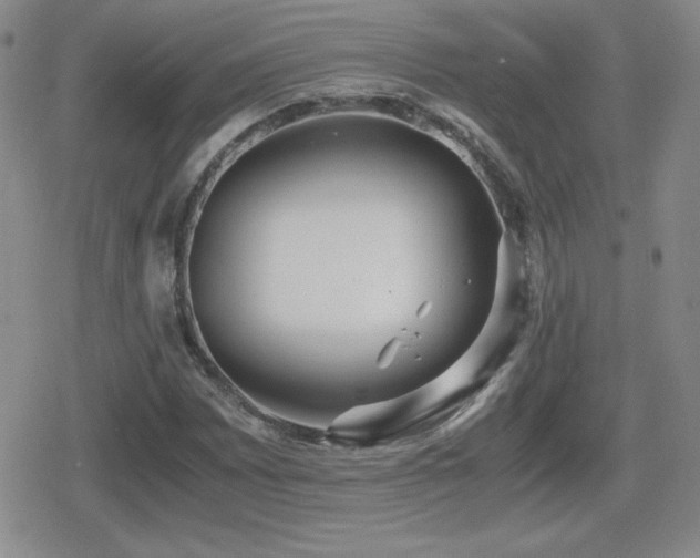 X0000080731065200612151218