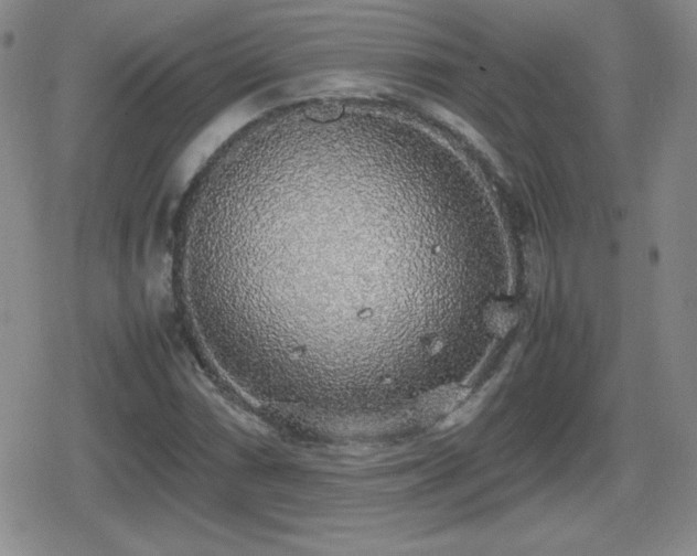 X0000080731066200612151218