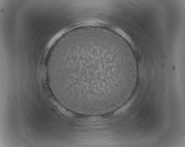 X0000080731067200612151218