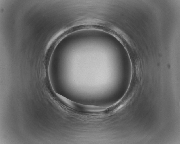 X0000080731069200612151218