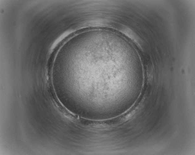 X0000080731070200612151218