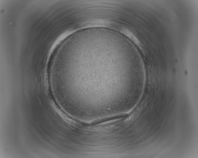 X0000080731072200612151218