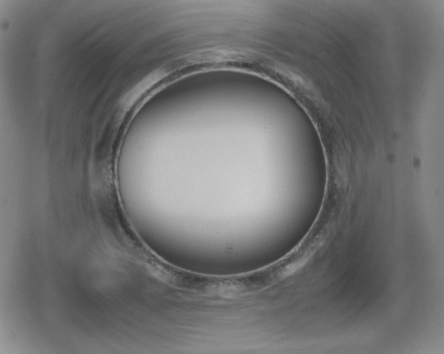 X0000080731073200612151218