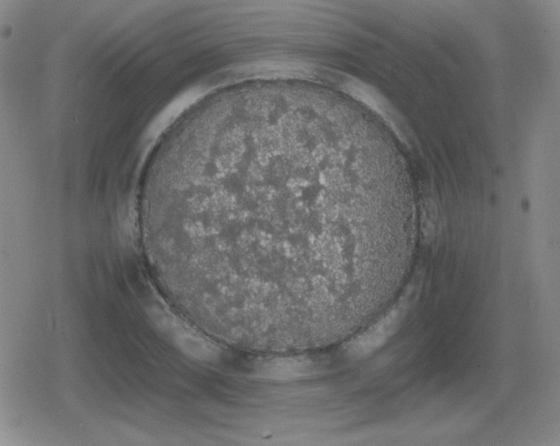 X0000080731074200612151218