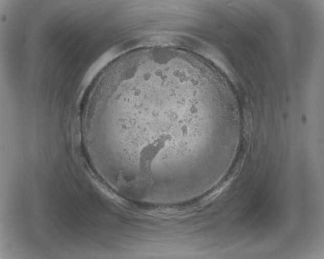 X0000080731075200612151218