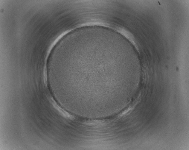 X0000080731076200612151218