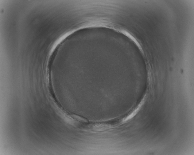 X0000080731077200612151218