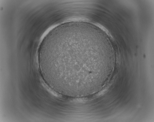 X0000080731078200612151218