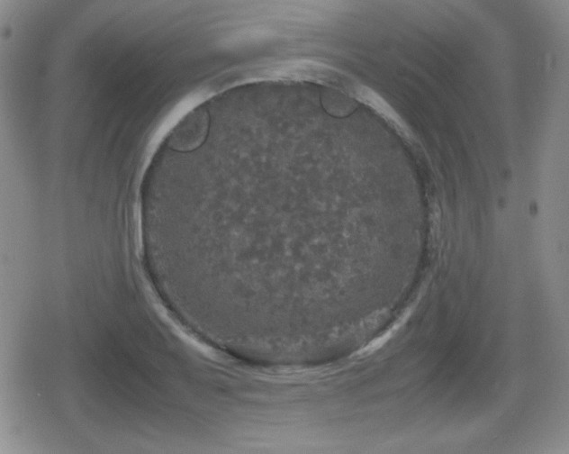 X0000080731079200612151218