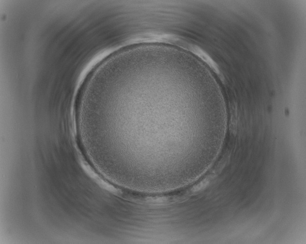 X0000080731080200612151218