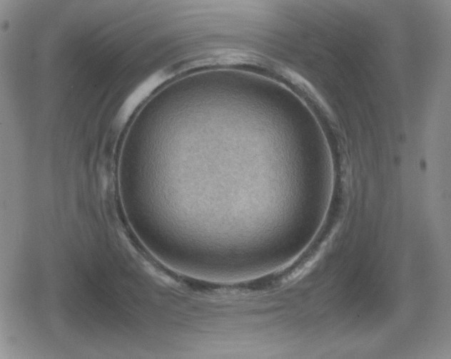 X0000080731081200612151218