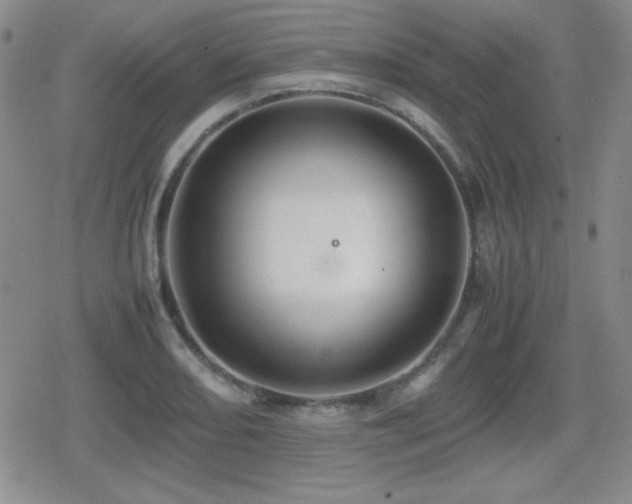 X0000080731082200612151218