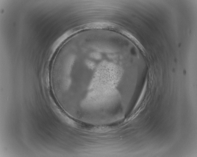 X0000080731083200612151218